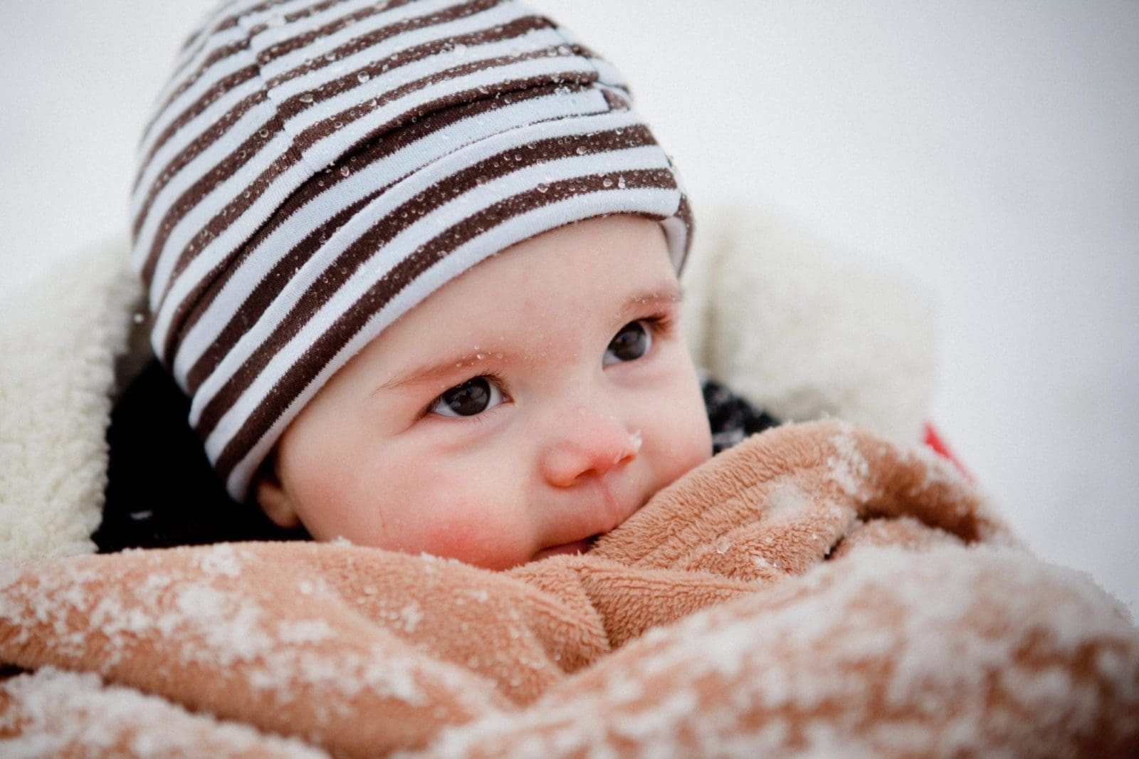 Keep Your Baby Bundled At Wee Babe - New Jersey Digest Magazine