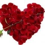 images-of-valentines-day-flowers-roses