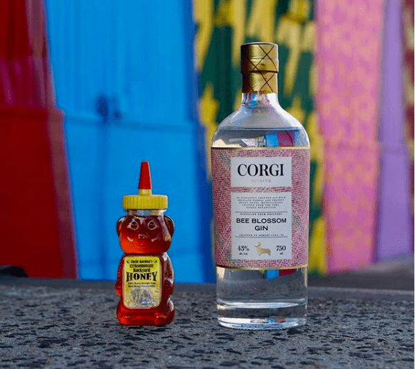 corgi spirits