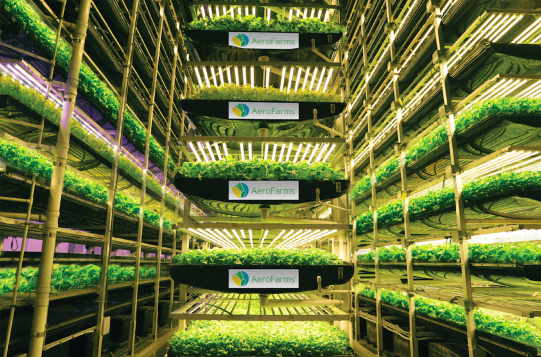 Jersey City vertical farming