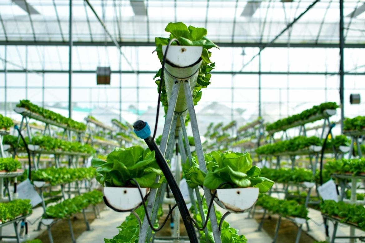 vertical farming in nj