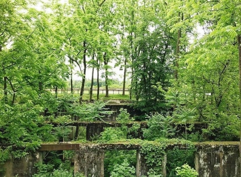 The Old Foundation at Duke Farms