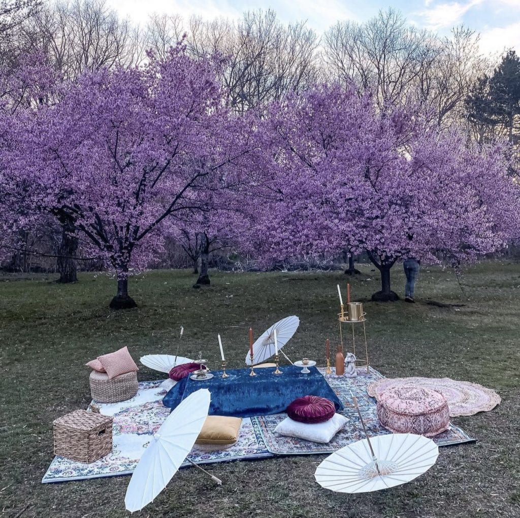 New Jersey pop-up picnic
