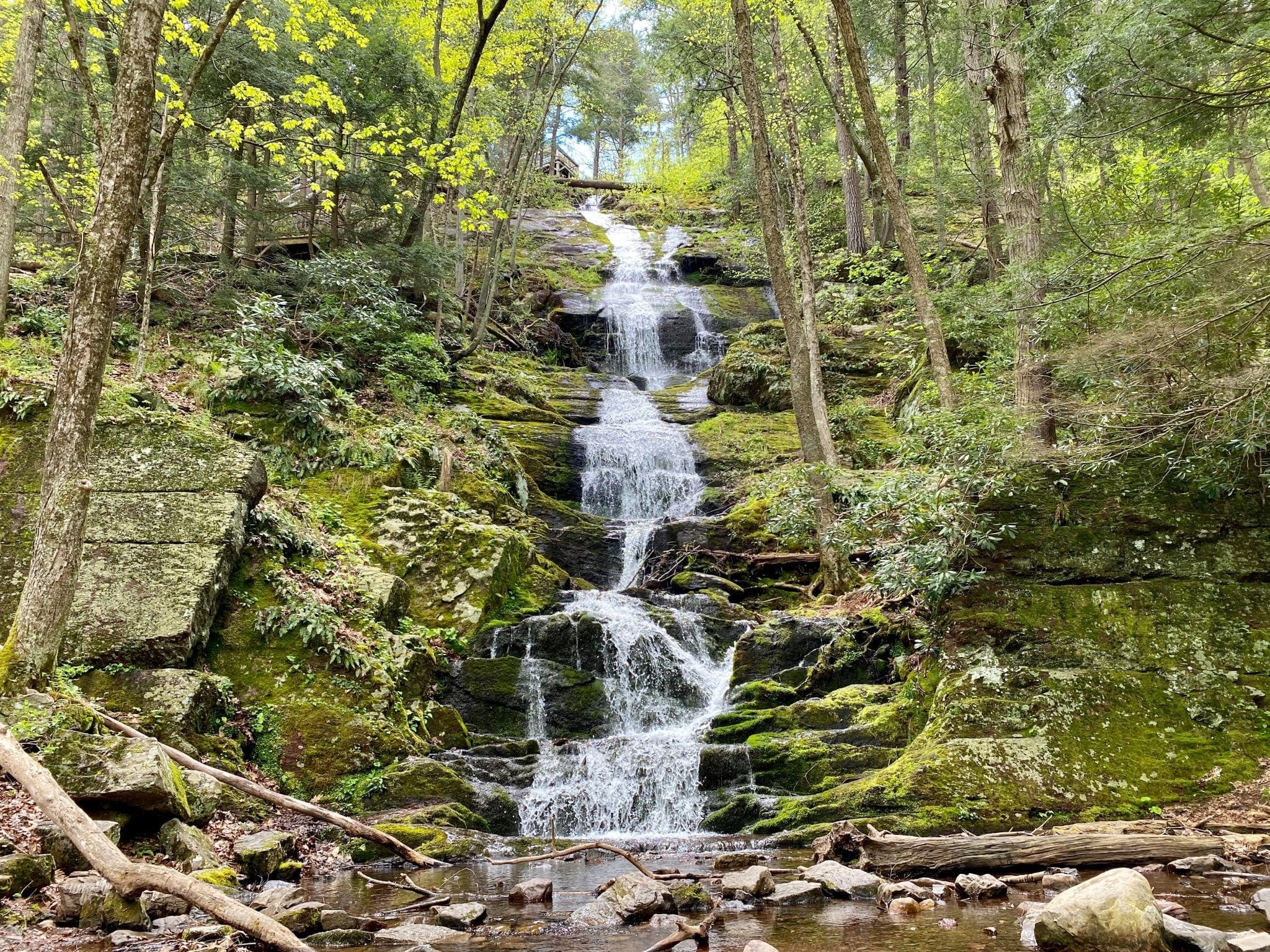 routine Aankondiging volume New Jersey Hiking Trails with Hidden Waterfalls - New Jersey Digest