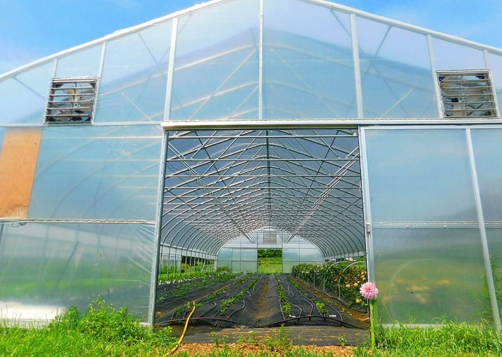 Moonshot Farm Greenhouse