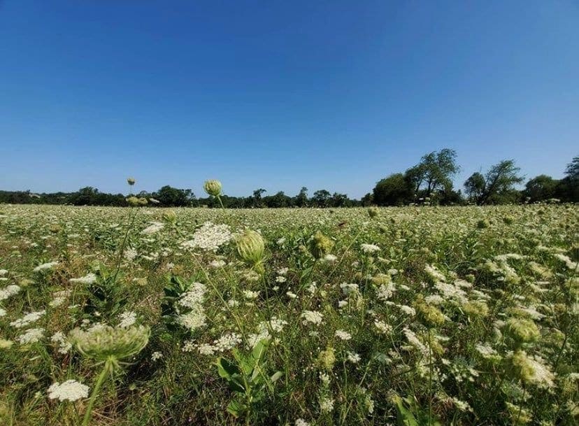 Fields at Duke Farms in NJ