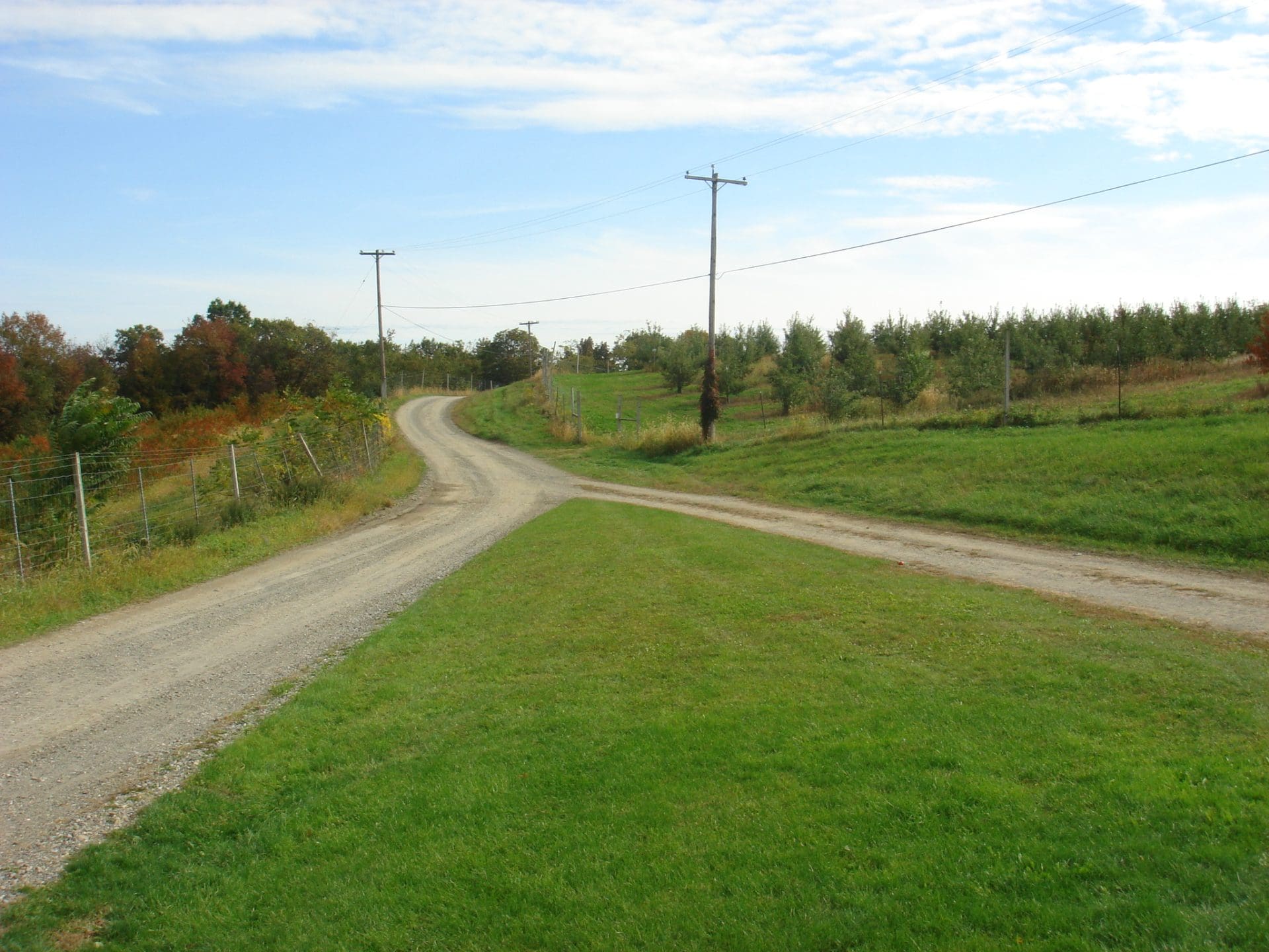 Fork in the Road