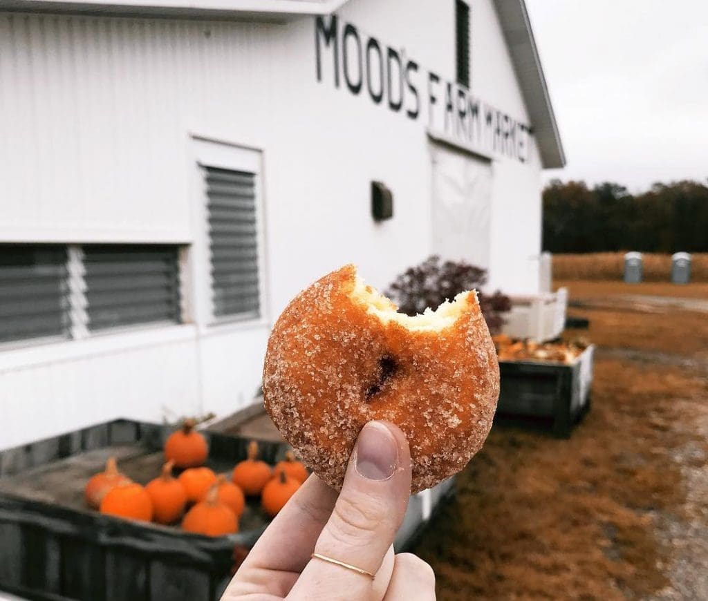 apple cider donuts nj