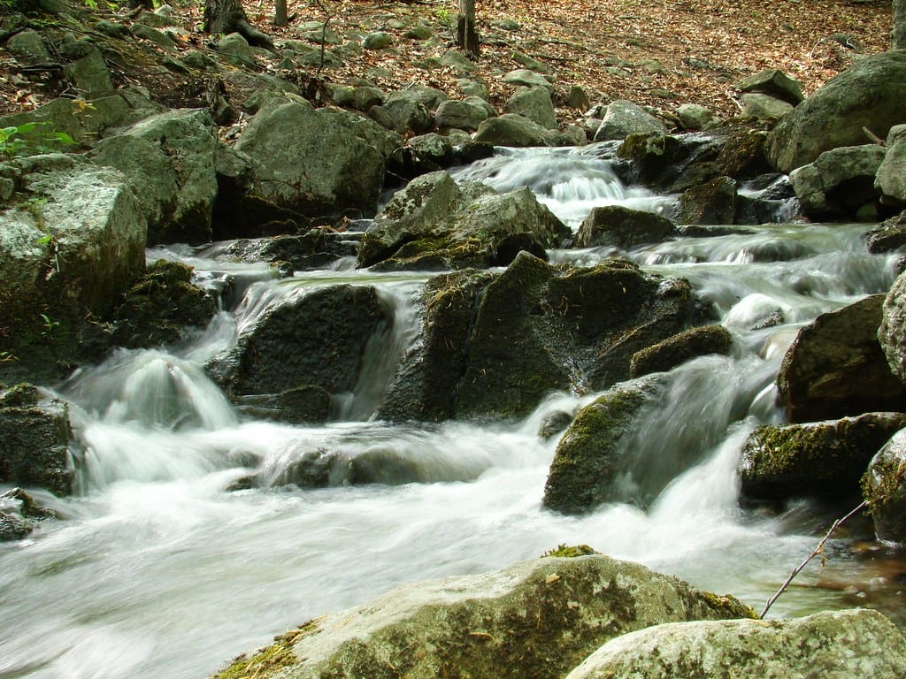 Posts Brook Tributary