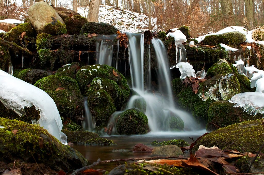 Worthington State Forest, NJ