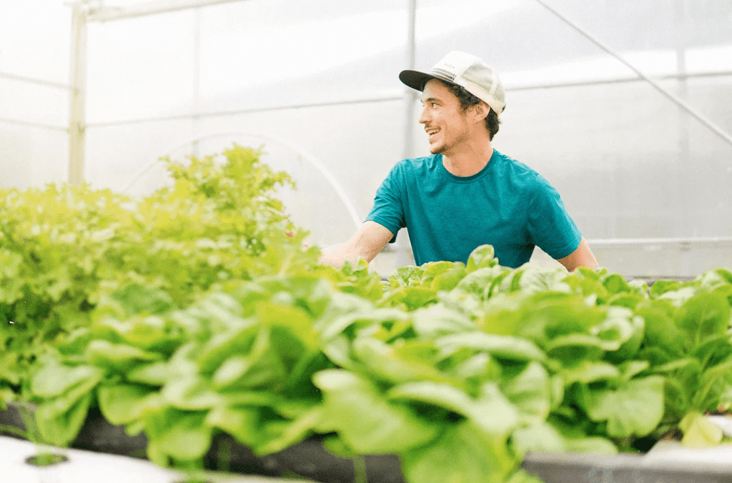 cody parker drop the beet farms