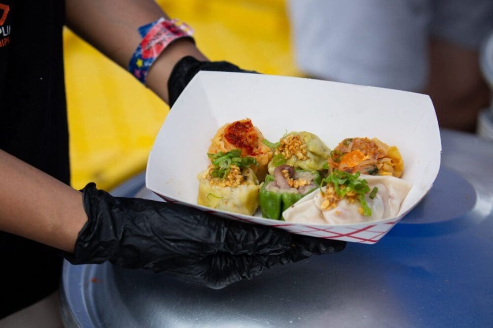 Dream Food Fest Dumplings