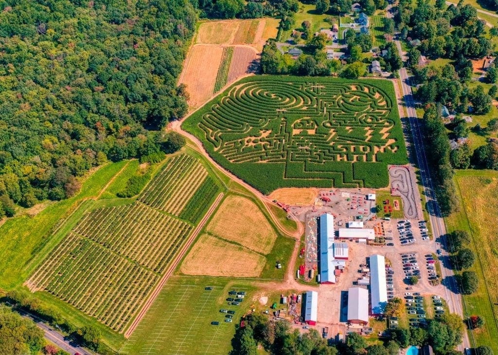 Pumpkin Picking Farms in New Jersey 2020