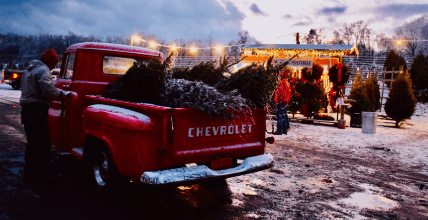 Christmas Tree Farms in New Jersey