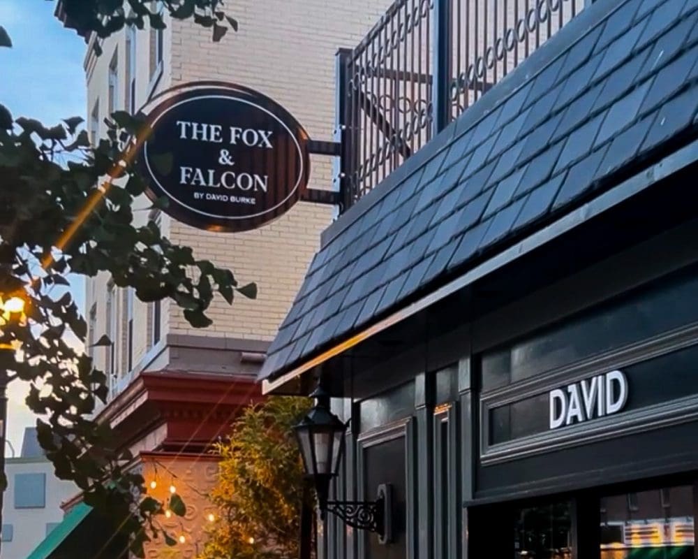 The Fox and Falcon by David Burke