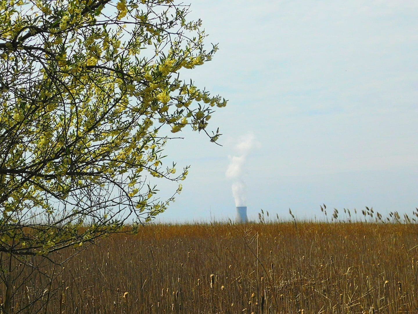 Salem Nuclear Plant