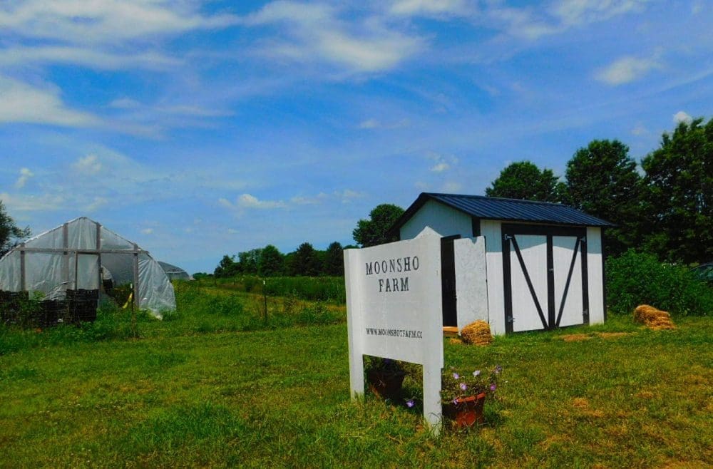 Moonshot Farm Sign in Front of Field