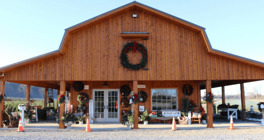 Christmas Tree Farms in New Jersey