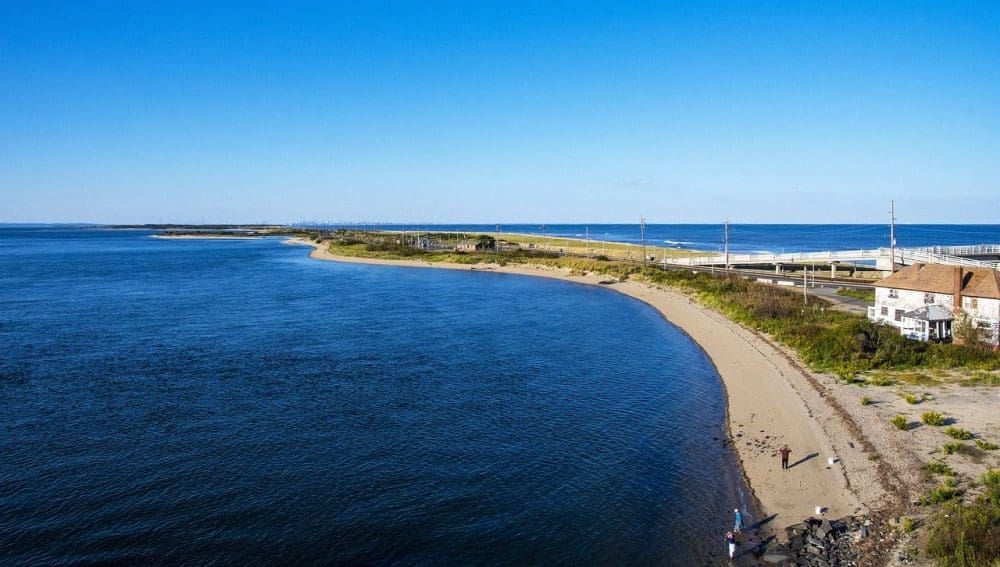 dolphins sandy hook nj