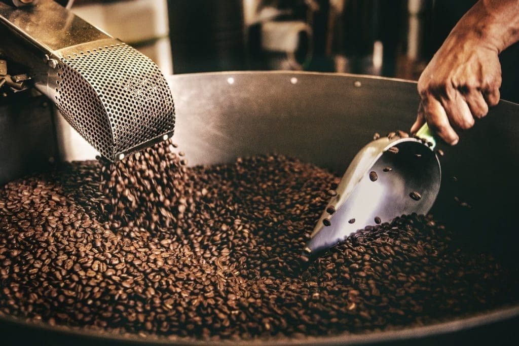 best coffee roasters in new jersey