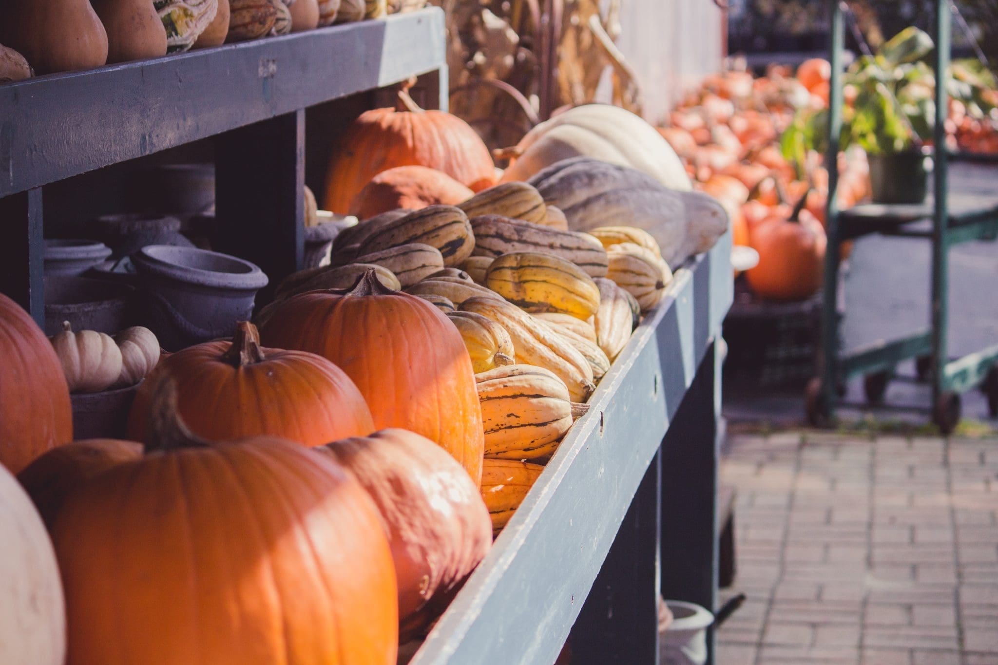 New Jersey Farmers Markets