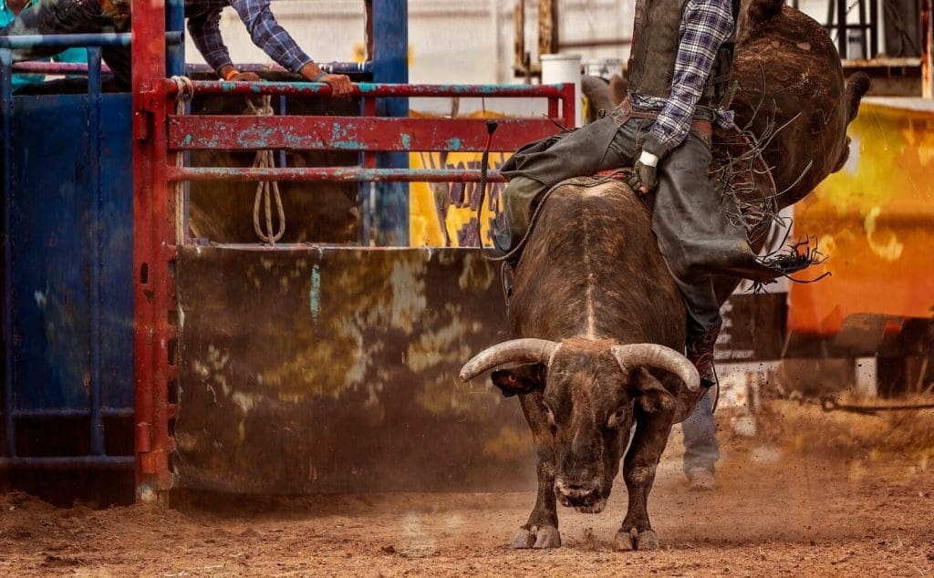 cowtown rodeo