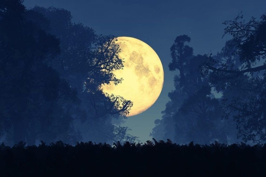 does a full moon affect behavior?