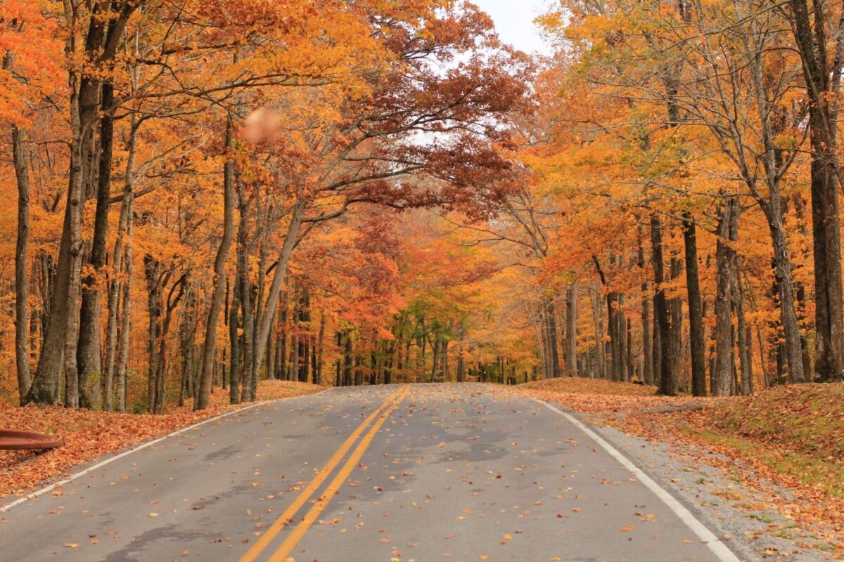 fall drive in New Jersey with orange and red leaves on secluded rural road