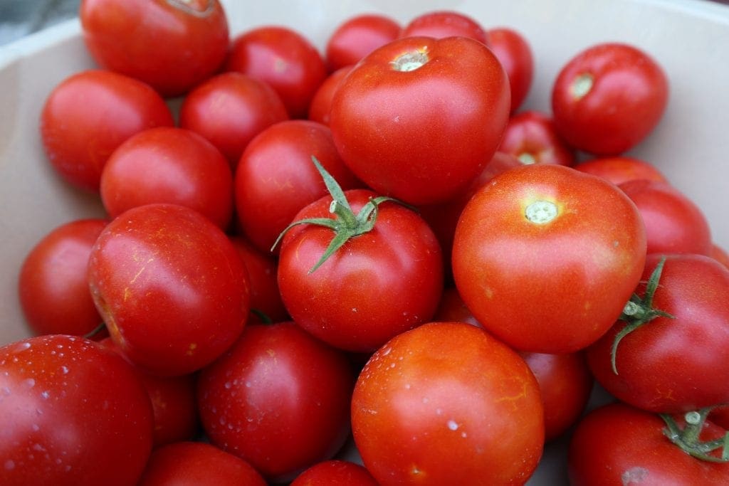 New Jersey vegetables