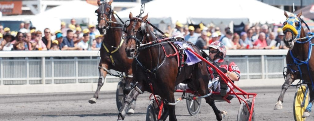 meadowlands harness racing