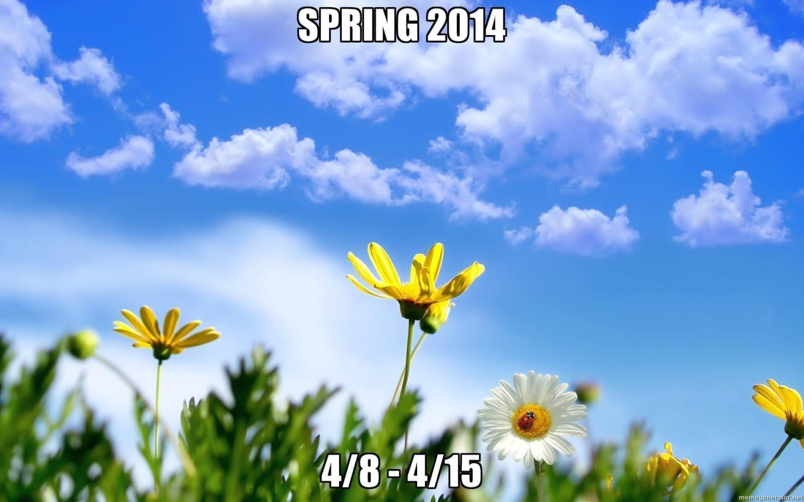 Spring 2014 never forget