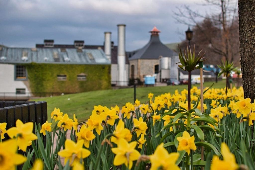 new jersey distilleries