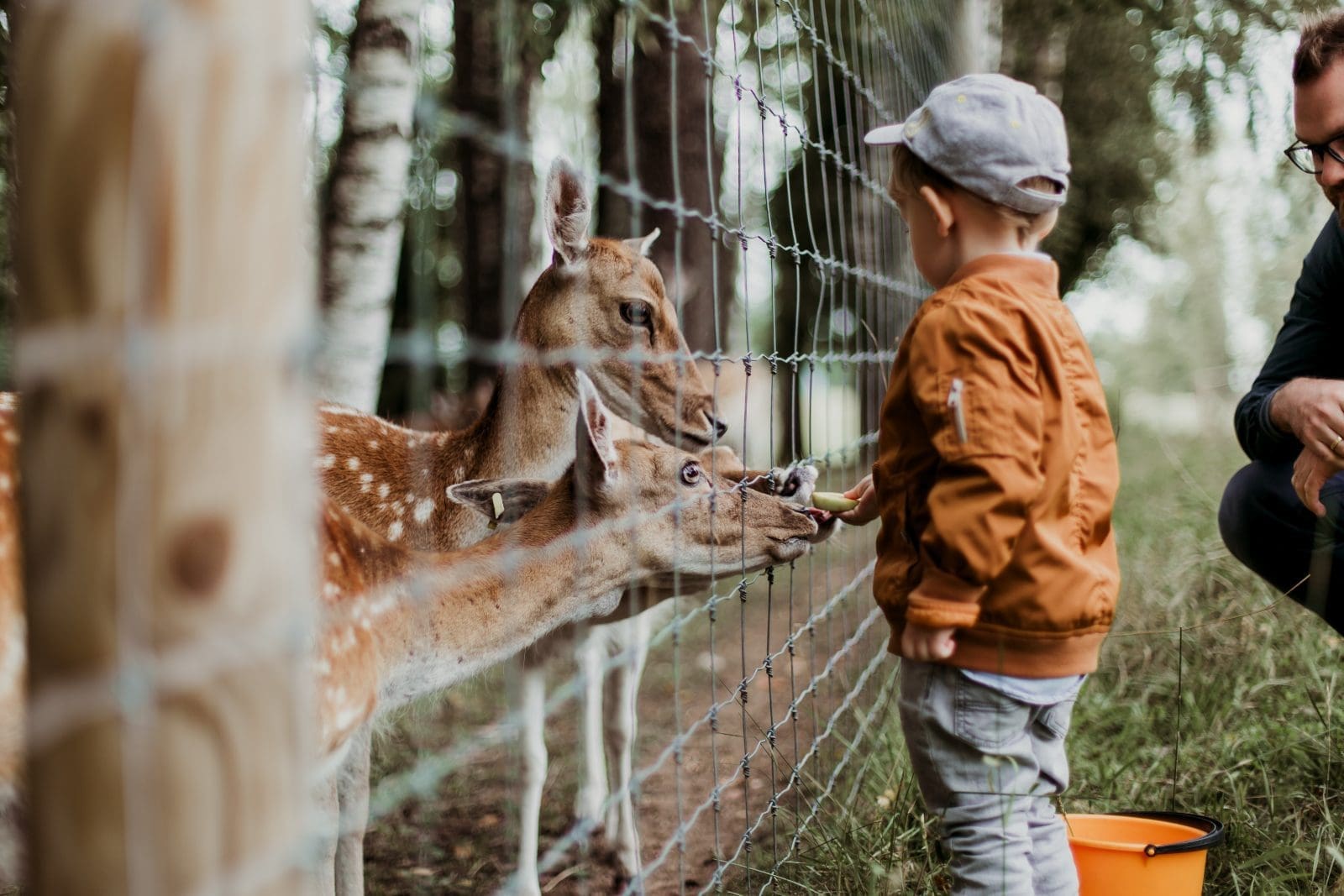 new jersey petting zoos