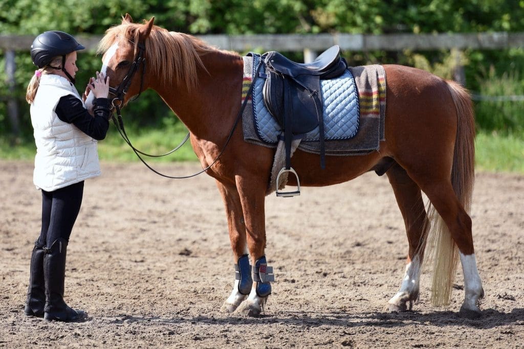 new jersey horseback riding