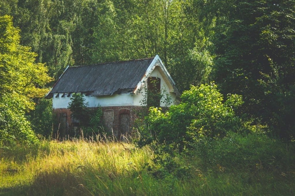 watchung reservation deserted village