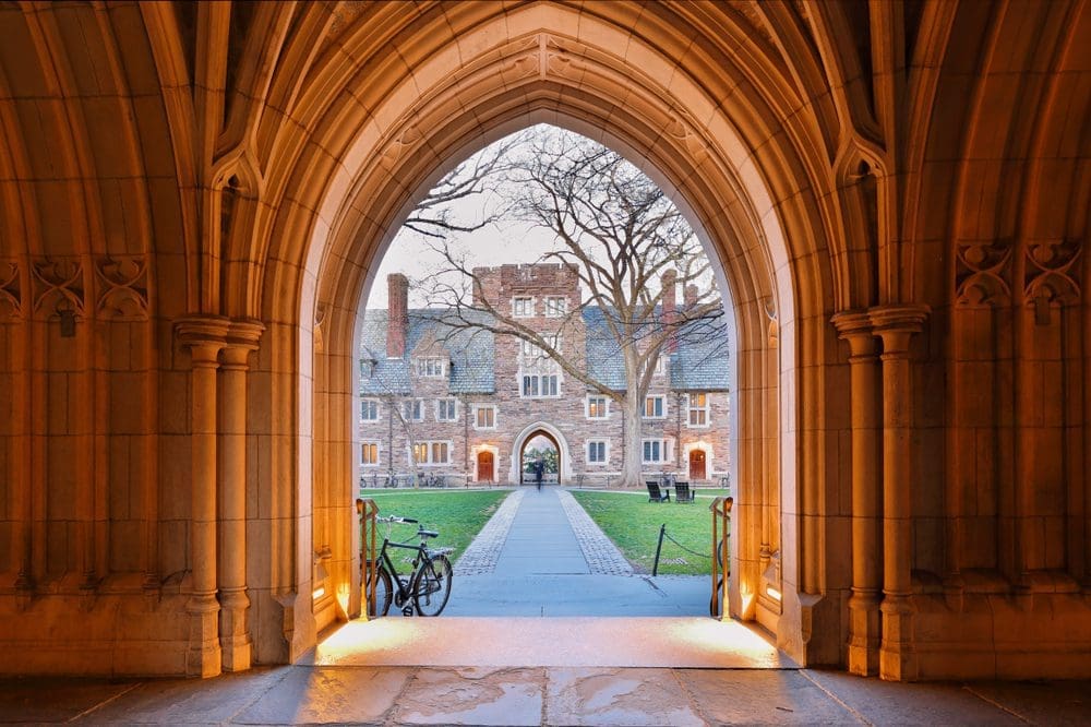 princeton university hodder grant