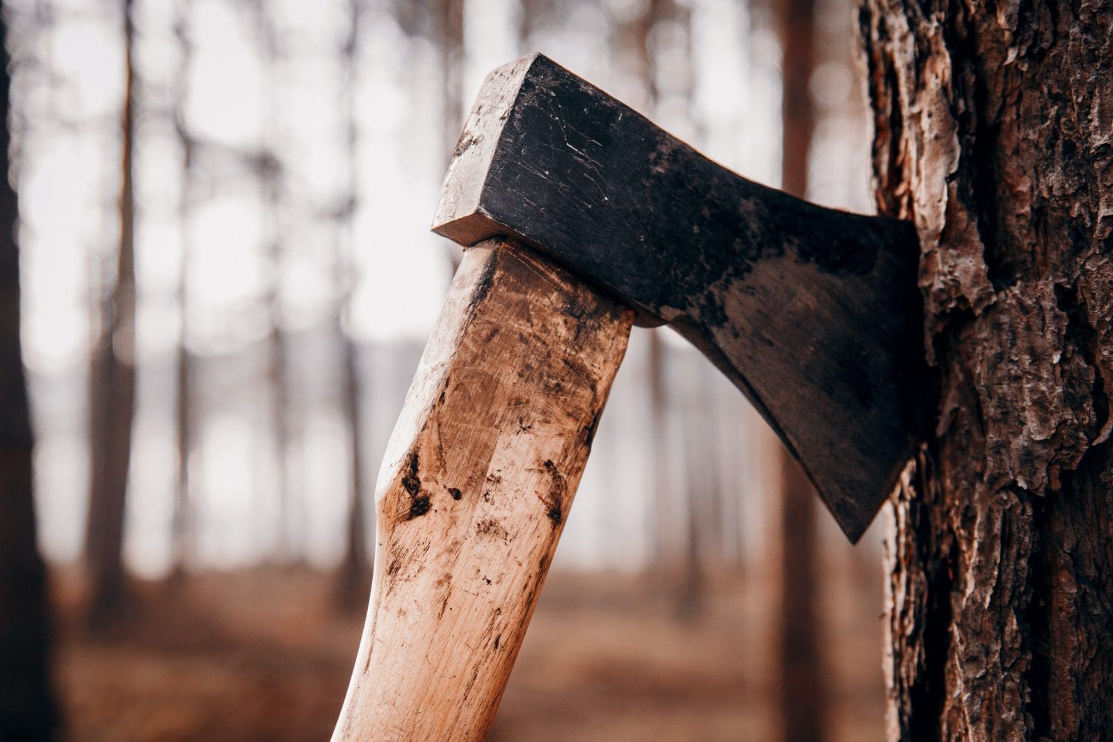 axe throwing in NJ