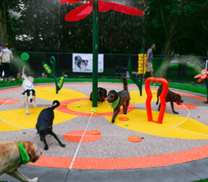 Off-Leash Dog Parks