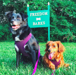 Off-Leash Dog Parks