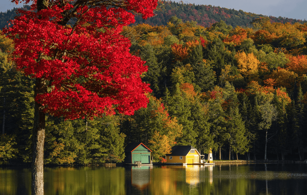 Kurt Gander Old Forge