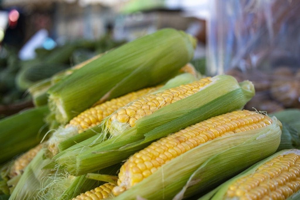 New Jersey vegetables