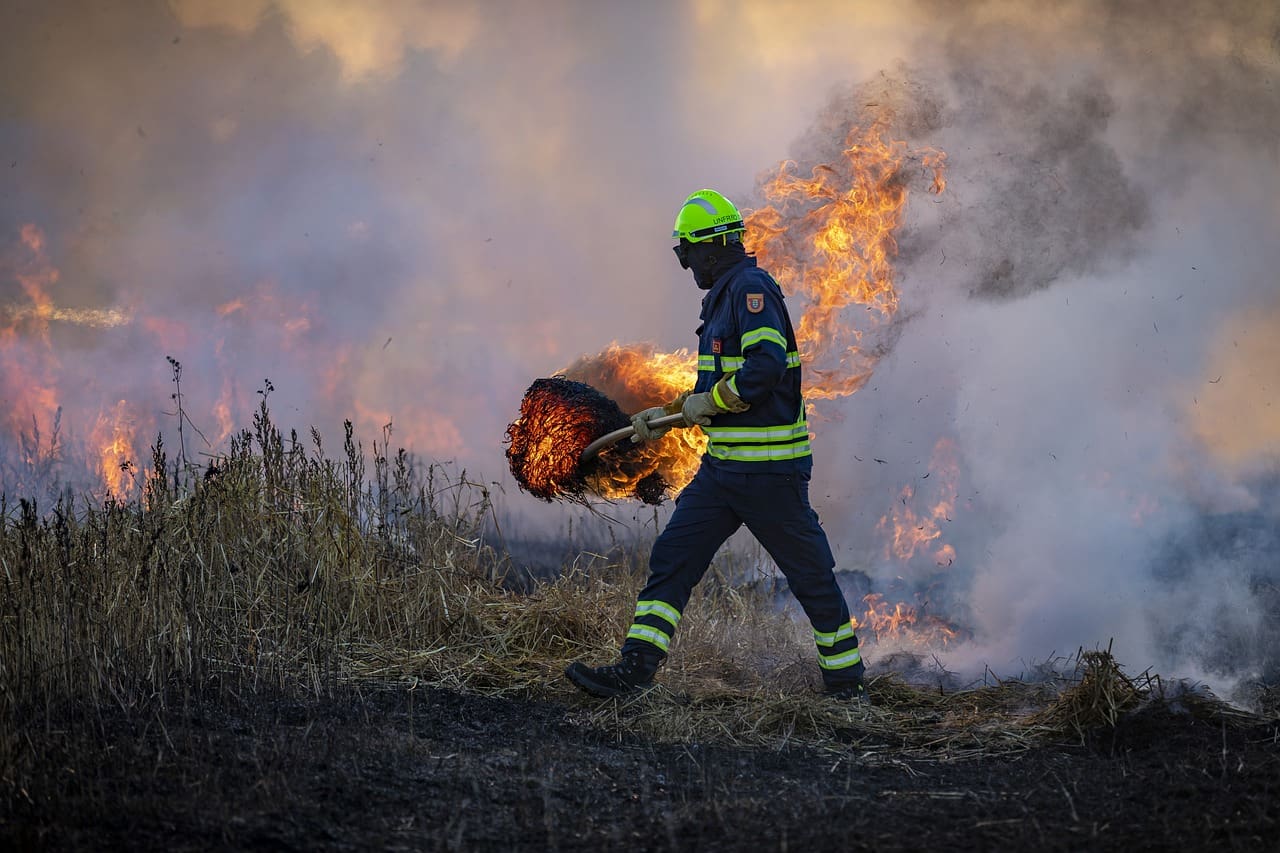 nj wildfire medford