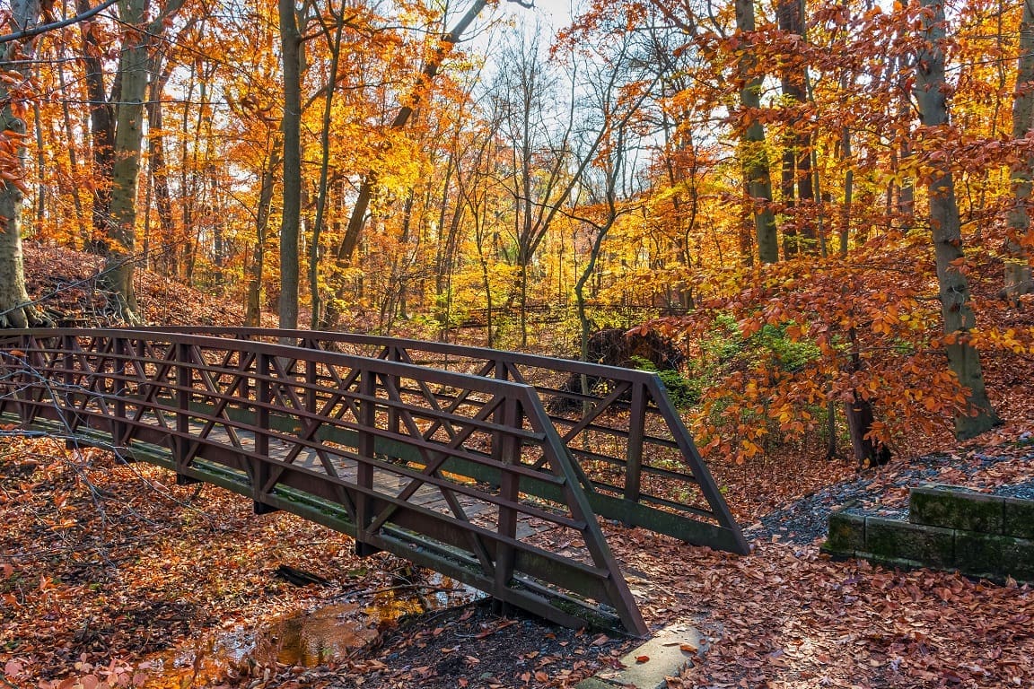 new jersey fall hiking trails