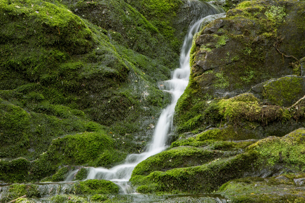 Water cascading over moss-covered rocks at Buttermilk Falls in the Delaware Water Gap National Recreation Area, New Jersey