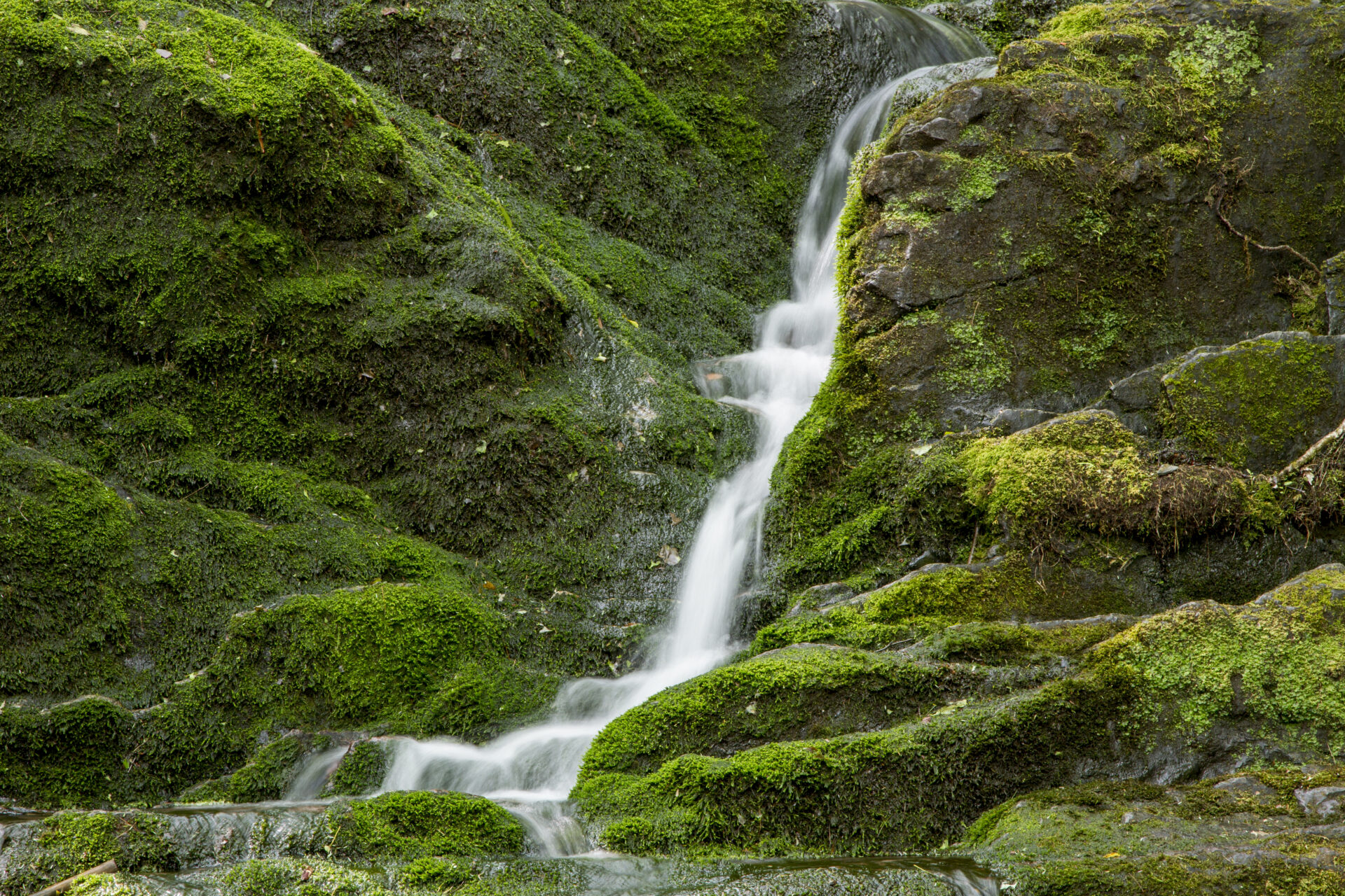 Water cascading over moss-covered rocks at Buttermilk Falls in the Delaware Water Gap National Recreation Area, New Jersey