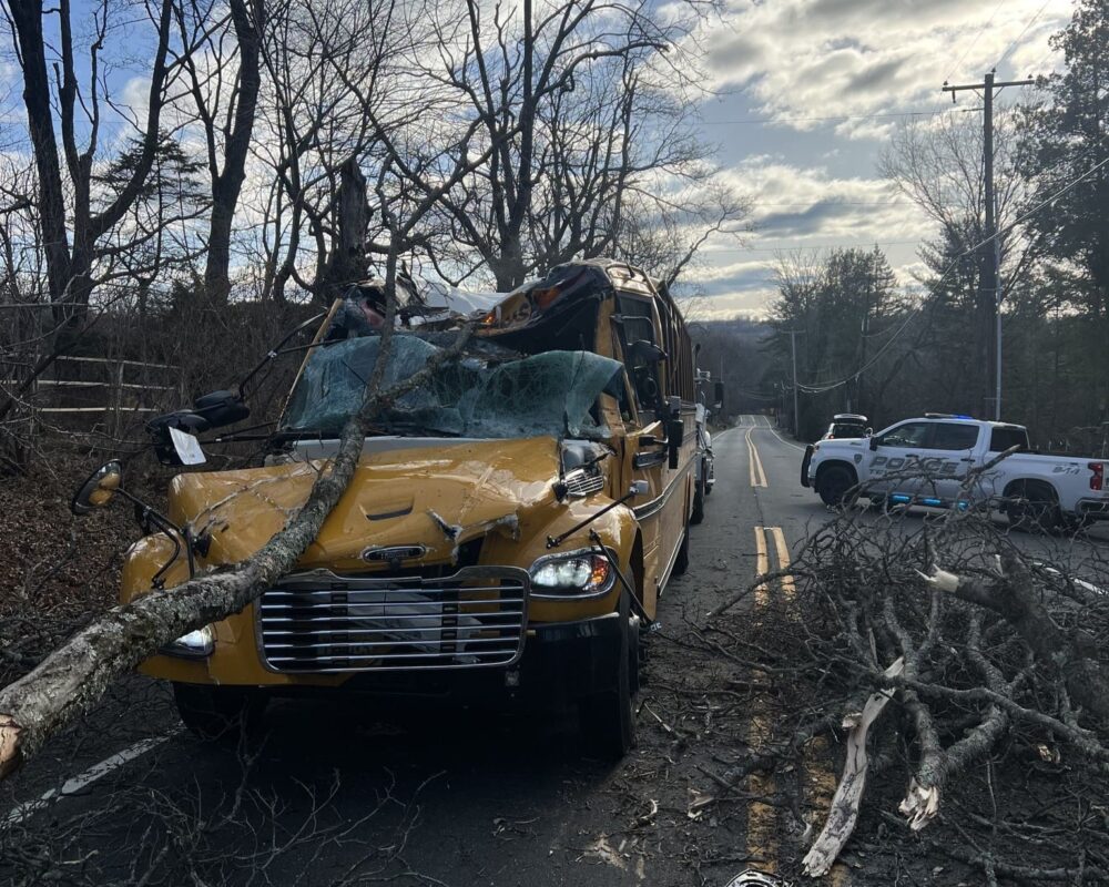 a bus smashed by a tree, nj