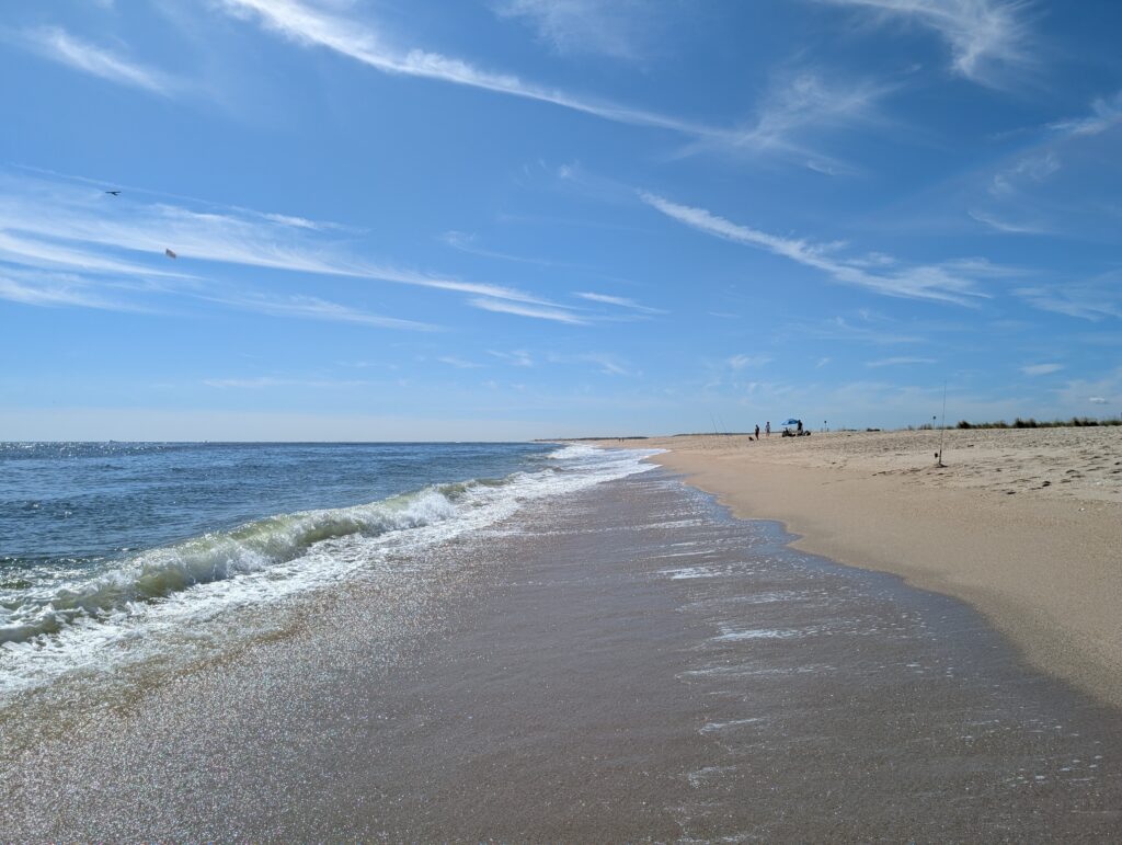 sandy hook free beach nj