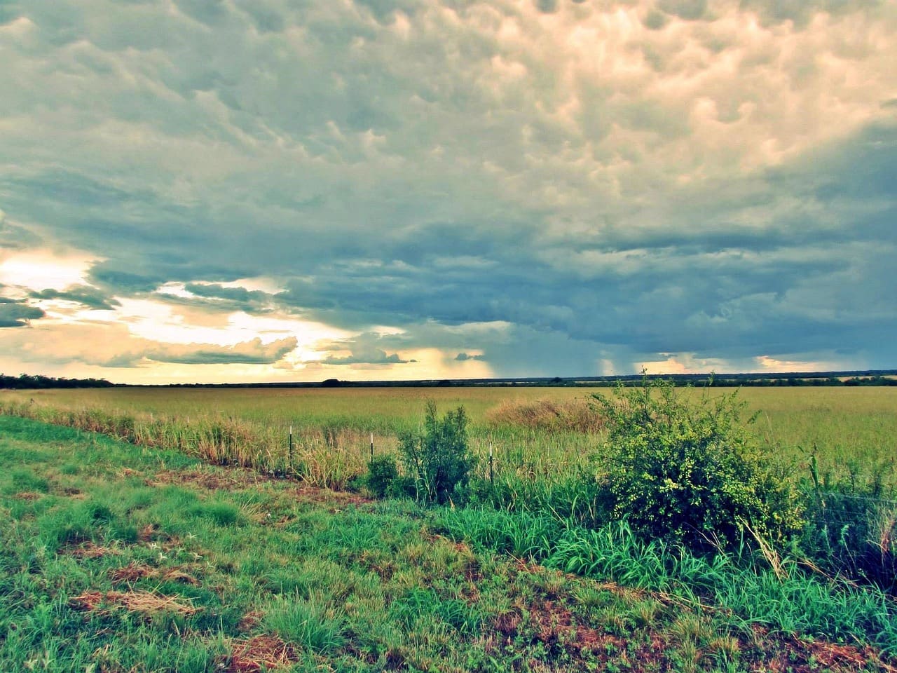 Texas storm