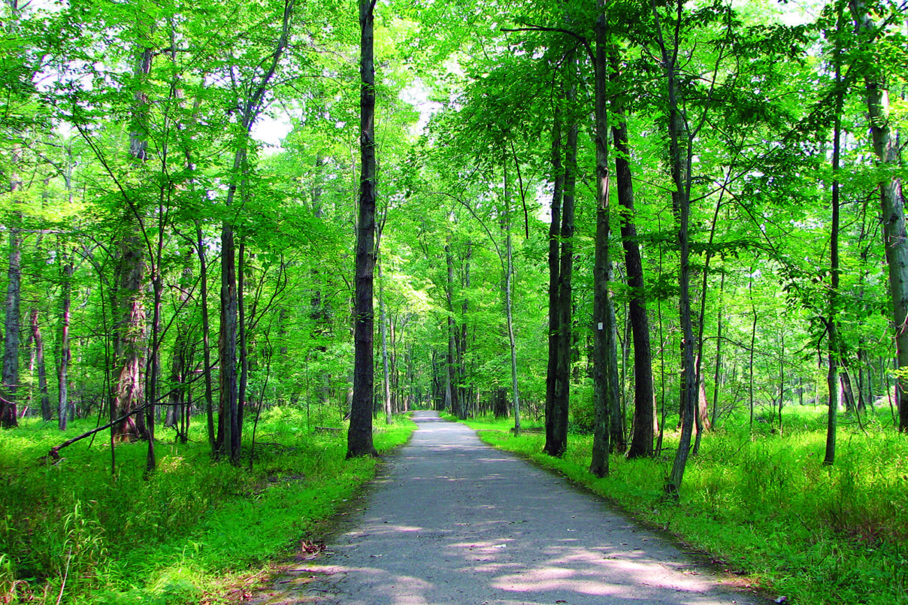 Patriots' Path - Morris County Park Commision