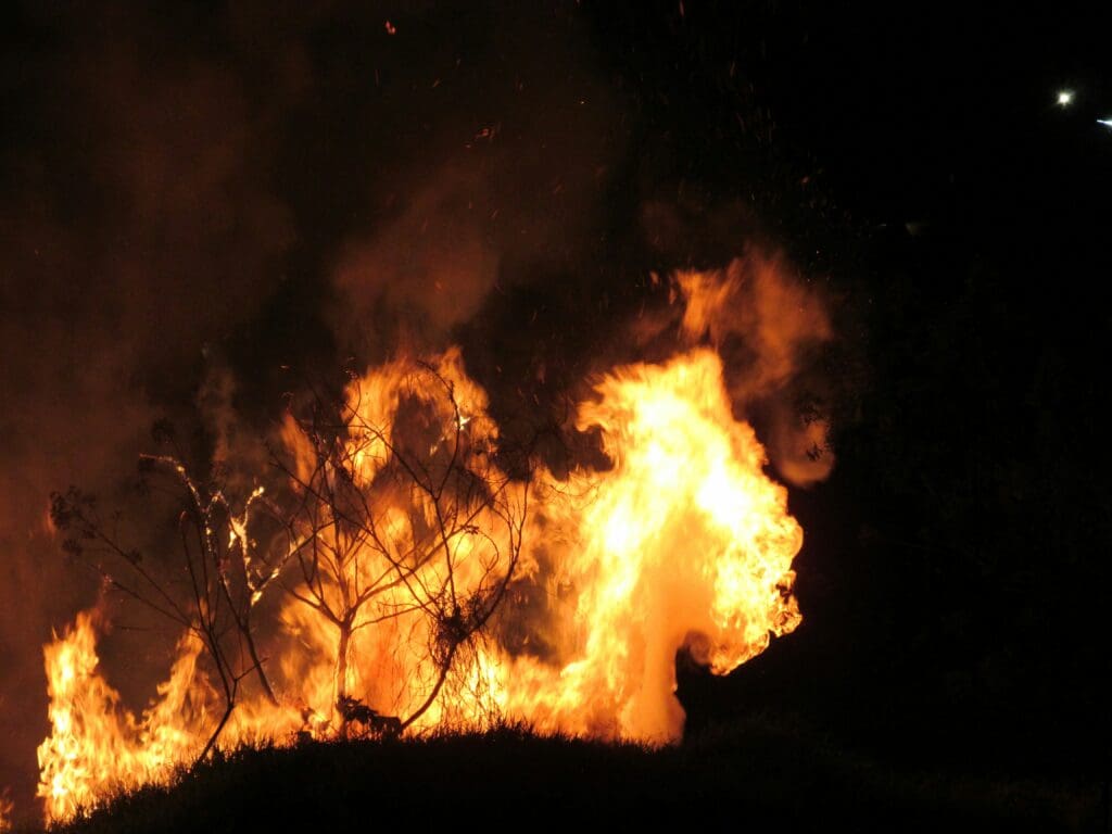 wildfire nj